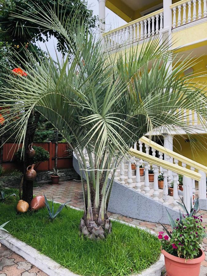 George'S House Hotel Kobuleti ภายนอก รูปภาพ